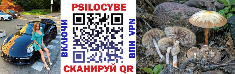 хочу   MEGA зеркало  Псилоцибиновые грибы Psilocybe  Екатеринбург 